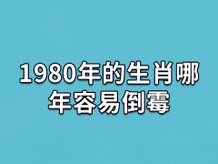 1980年的生肖哪年容易倒霉:虎年/猪年/蛇年