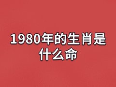 1980年的生肖是什么命:金猴之命(自信勇敢)