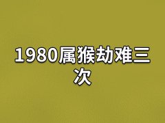 1980属猴劫难三次:事业遇小人/存不住钱/婚姻失败