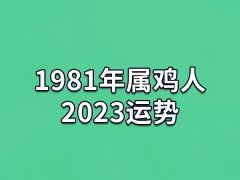 1981年属鸡人2023运势:运势