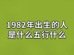 1982年出生的人是什么五行