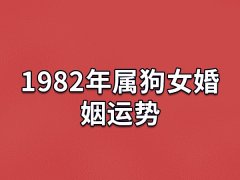 1982年属狗女婚姻运势:婚姻