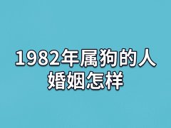 1982年属狗的人婚姻怎样