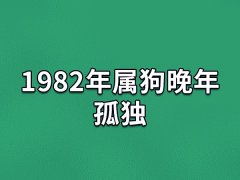 1982年属狗晚年孤独,82年狗