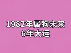 1982年属狗未来6年大运:事