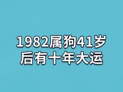 1982属狗41岁后有十年大运