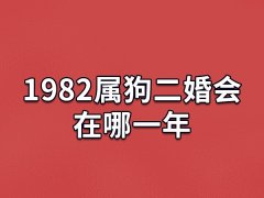 1982属狗二婚会在哪一年