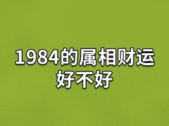 1984的属相财运好不好:财运