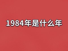 1984年是什么年:农历甲子年