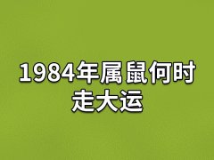 1984年属鼠何时走大运:38岁