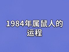 1984年属鼠人的运程:事业稳定(不愁钱花)