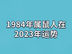 1984年属鼠人在2023年运势:运势不好(工作中错失机遇)