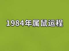 1984年属鼠运程,84年的属鼠人命运如何