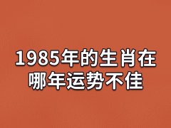 1985年的生肖在哪年运势不