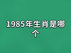 1985年生肖是哪个:属相牛