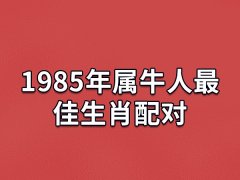 1985年属牛人最佳生肖配对