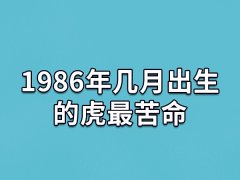 1986年几月出生的虎最苦命