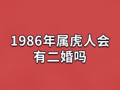 1986年属虎人会有二婚吗:会有二婚(一婚时不够成熟)