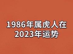 1986年属虎人在2023年运势