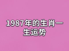 1987年的生肖一生运势:衣食充足(婚姻平平)