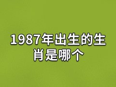 1987年出生的生肖是哪个:生肖兔(农历丁卯年)