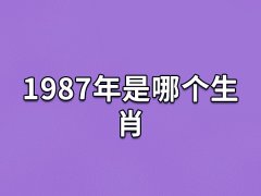 1987年是哪个生肖:属相为兔(五行属火)