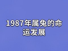 1987年属兔的命运发展:事业运很好(生财有道)