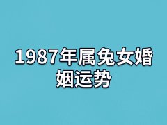 1987年属兔女婚姻运势:比