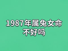 1987年属兔女命不好吗:87年出生的女生命运如何