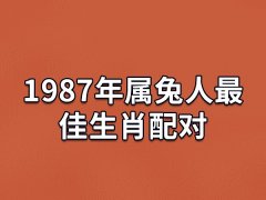 1987年属兔人最佳生肖配对:属羊/属狗/属猪