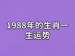 1988年的生肖一生运势:事业