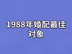 1988年婚配最佳对象:属鼠