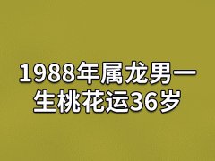 1988年属龙男一生桃花运