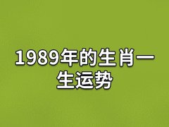 1989年的生肖一生运势,89年