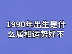 1990年出生是什么属相运势