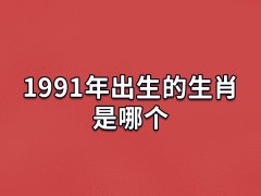 1991年出生的生肖是哪个