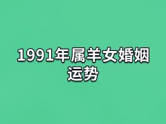 1991年属羊女婚姻运势:婚姻