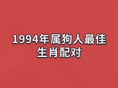 1994年属狗人最佳生肖配对