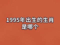 1995年出生的生肖是哪个