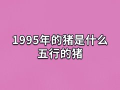 1995年的猪是什么五行的猪