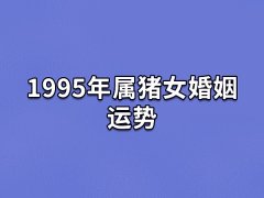 1995年属猪女婚姻运势:运势