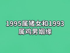 1995属猪女和1993属鸡男姻缘