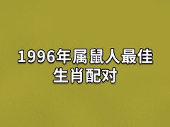 1996年属鼠人最佳生肖配对:生肖龙/生肖牛/生肖猴