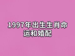 1997年出生生肖命运和婚配