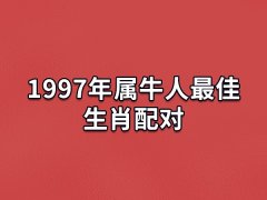 1997年属牛人最佳生肖配对