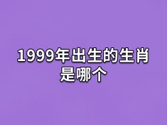 1999年出生的生肖是哪个:生肖兔(农历己卯年)