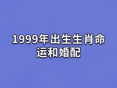 1999年出生生肖命运和婚配:平安无忧(感情美满)