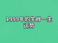 1999年的生肖一生运势:事业发展不错(丰厚的财富)