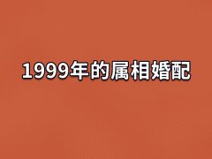 1999年的属相婚配:属狗/属羊/属猪