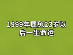 1999年属兔23岁以后一生命运:事业上升(身体健康)